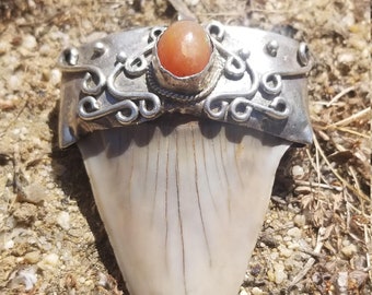 Fossilized Shark Tooth in Silver (fire opal)