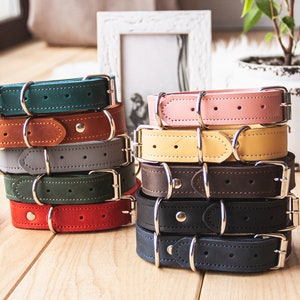 Hundehalsband personalisiert,Leather dog collar,Personalized dog collar,Custom pet collar,Engraved dog collar