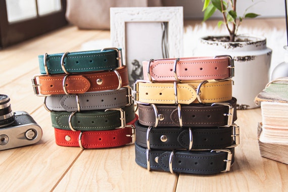 Leather dog collar with buckle,Leather dog collar with name,Leather dog collar engraved,Leather dog collar red,Leather dog collar yellow