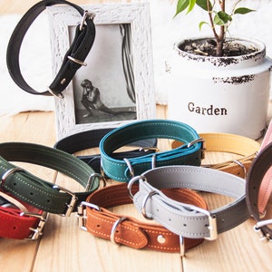 May include: Assortment of leather dog collars in various colors, including black, green, teal, gray, brown, and pink. The collars are arranged on a wooden surface with a white picture frame, a potted plant, and a glass diffuser in the background.