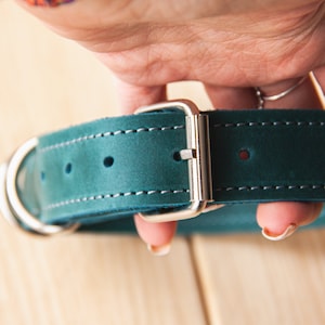 May include: Teal leather dog collar with a silver buckle and a double D-ring. The collar is stitched with white thread.