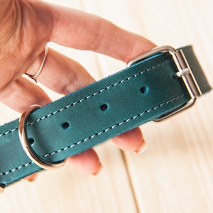 May include: Teal leather dog collar with silver hardware and stitching.