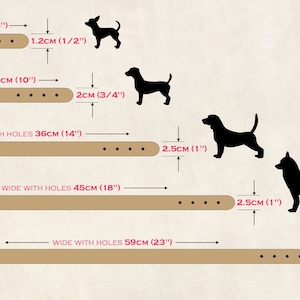 May include: A chart showing different sizes of dog collars with measurements in inches and centimeters. The chart shows five sizes: XS, S, M, L, and XL. Each size is represented by a brown leather collar with holes for adjustment. The chart also shows the corresponding dog silhouette for each size.