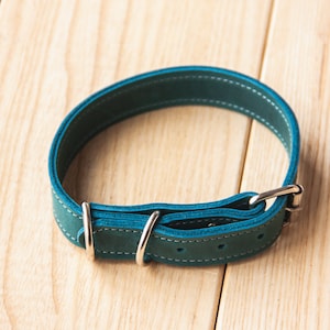 May include: A teal blue leather dog collar with a silver buckle and two silver D-rings.