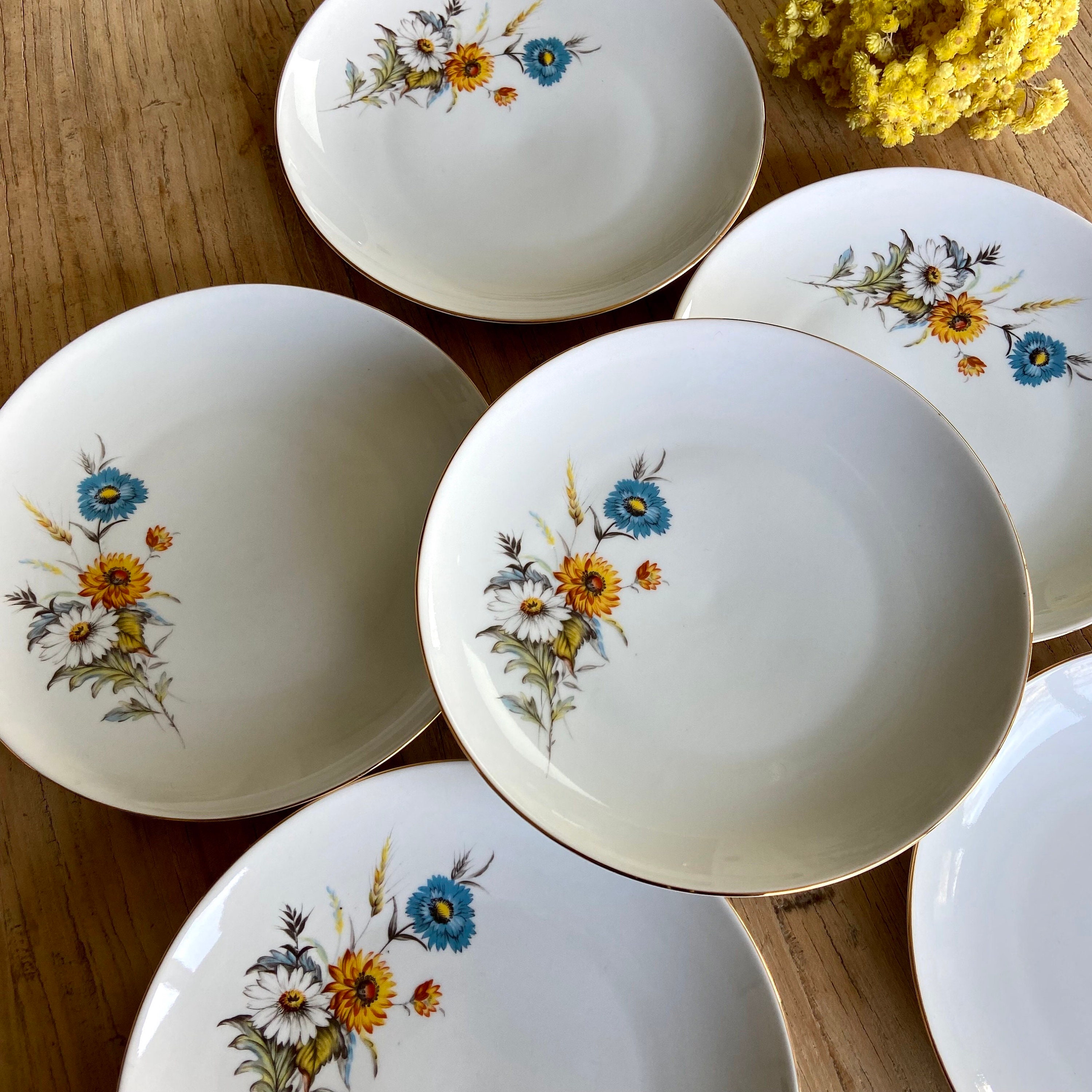 6 Assiettes Porcelaine Fleuries Vintage