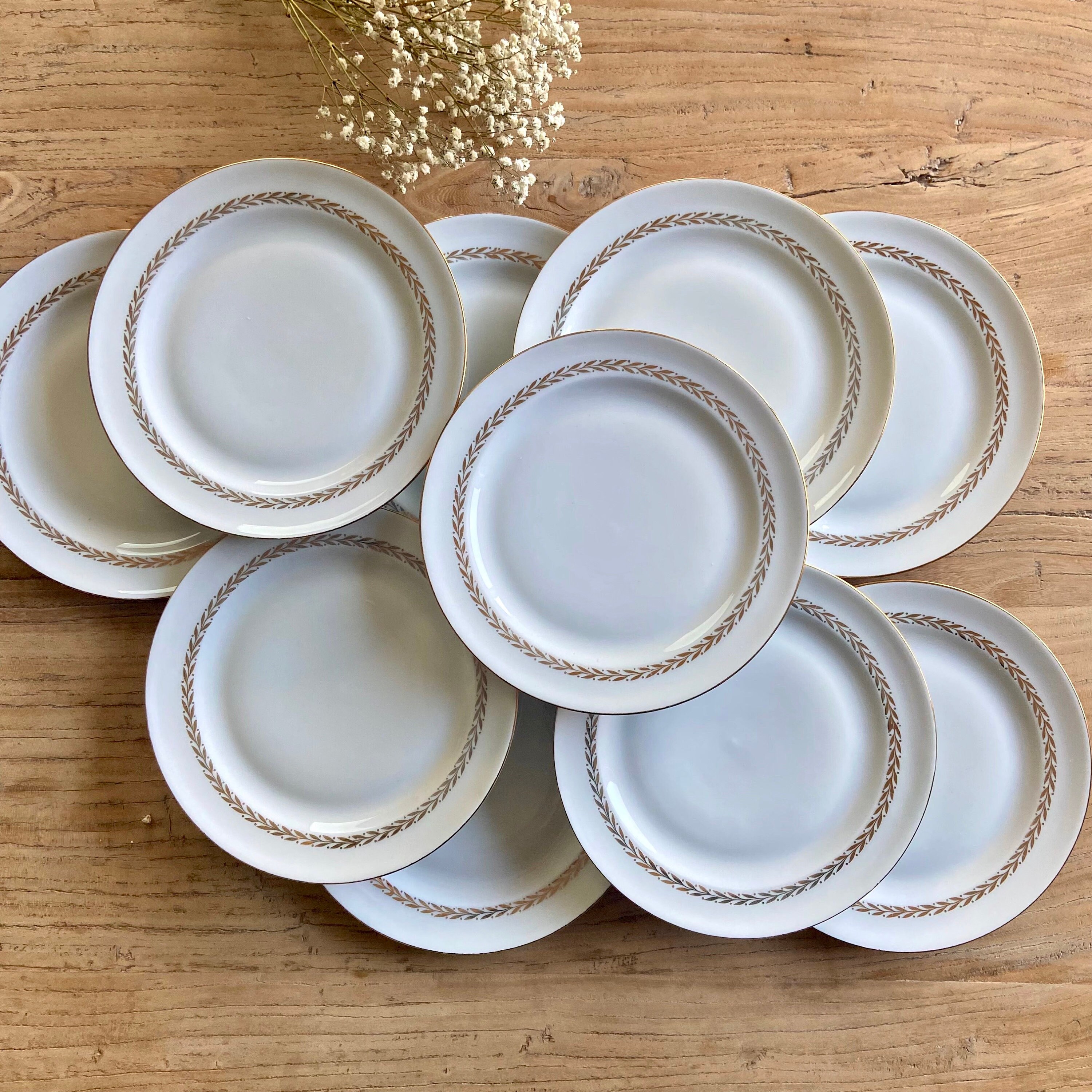 9 Assiettes à Dessert en Porcelaine de Lourioux France Vintage