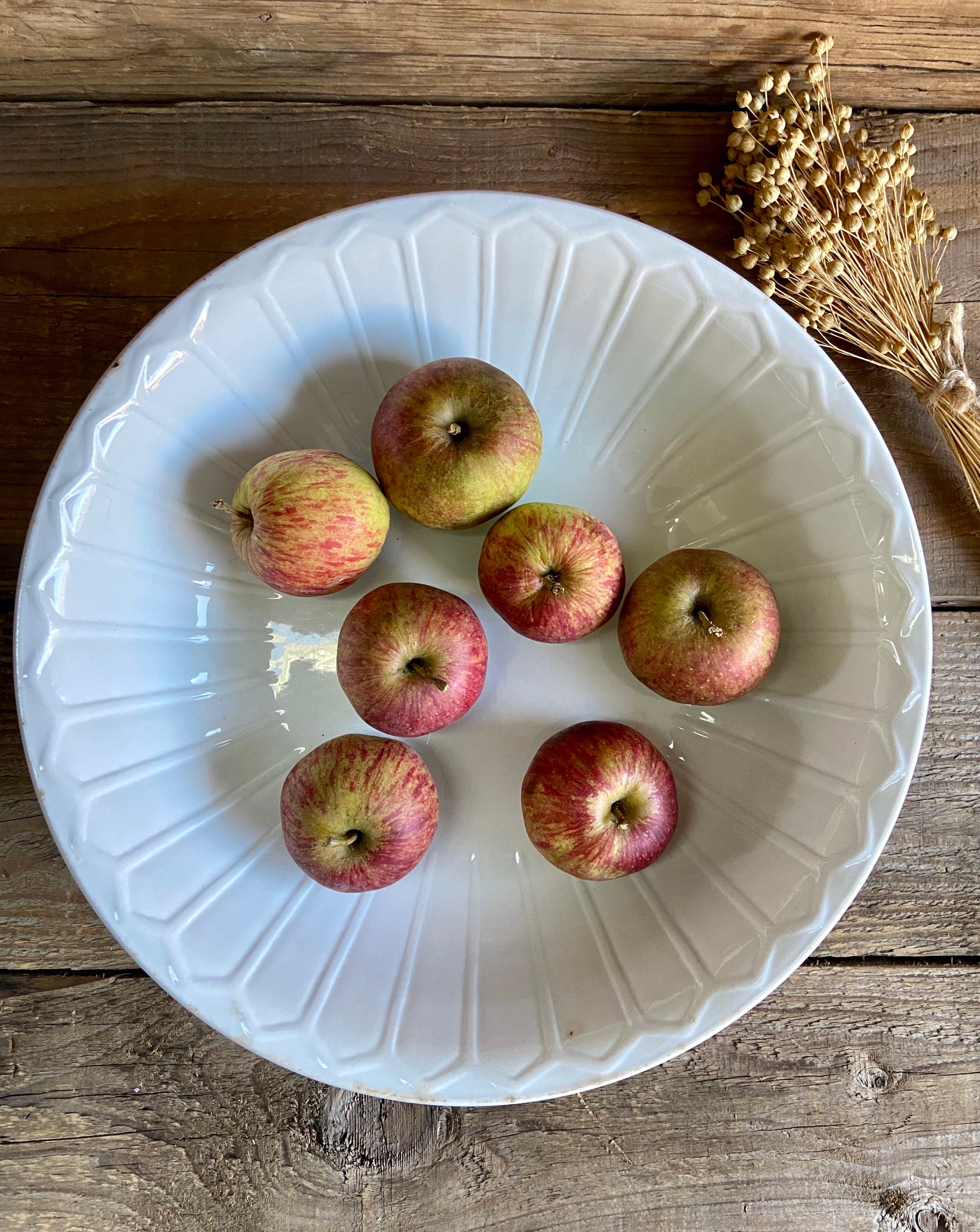 Grand Plat Rond Faïencerie d'onnaing Nord Vintage