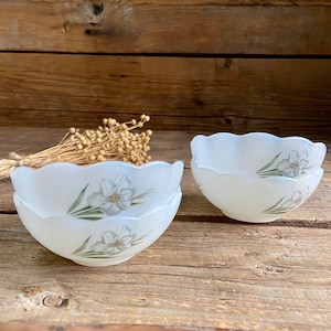 4 Vintage-Schalen von Arcopal France