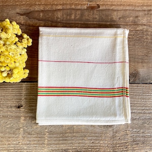 Torchon en coton vert 60 x 80 Tomates | Maisons du Monde