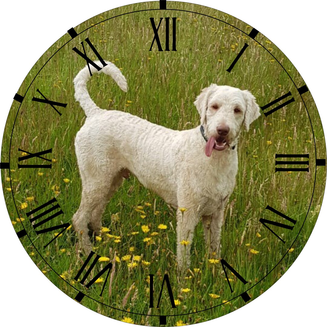 Unque Personalsed Photo Clock - Your Mage Prnted On The Clock