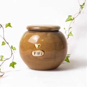 May include: A brown ceramic urn with a lid, a gold heart, and the name "FIFI" on a small plaque. The urn is round with a smooth finish. Green ivy and leaves are in the background.
