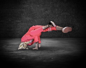 B-Girl Furrocious Cat Art Print 8x8 | Funny Breakdancing Cat Wall Art | Limited Edition Giclée | Hip Hop Cat Lover Gift | Street Art Decor