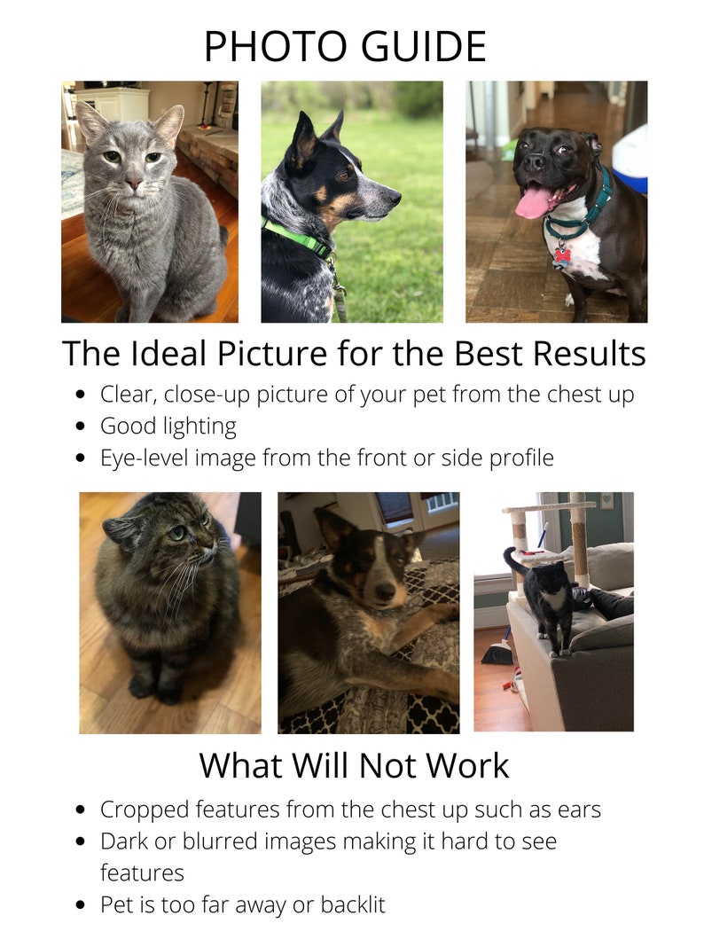 Personalized Pet Portraits on a 3.5 Inch Pinback Button Etsy