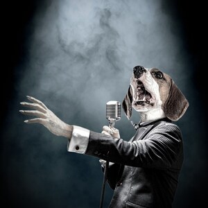 May include: A beagle dog wearing a suit and bow tie sings into a vintage microphone on a dark stage with smoke in the background.