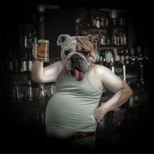 Bully Beer – Funny Bulldog Wall Art, Limited Edition Print, Dog Beer Art, Anthropomorphic Dog Portrait, Pub Bar Decor, Gift for Beer Lovers