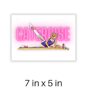 May include: A humorous illustration of a cat doing a leg stretch on a yoga mat with the word "CATERCISE" in pink neon letters above. The cat is wearing a purple leotard and white sneakers. A water bottle and dumbbells are on the mat.