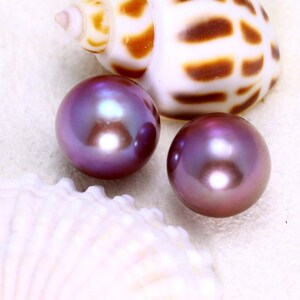 May include: Two iridescent purple pearls on a white background with a seashell.