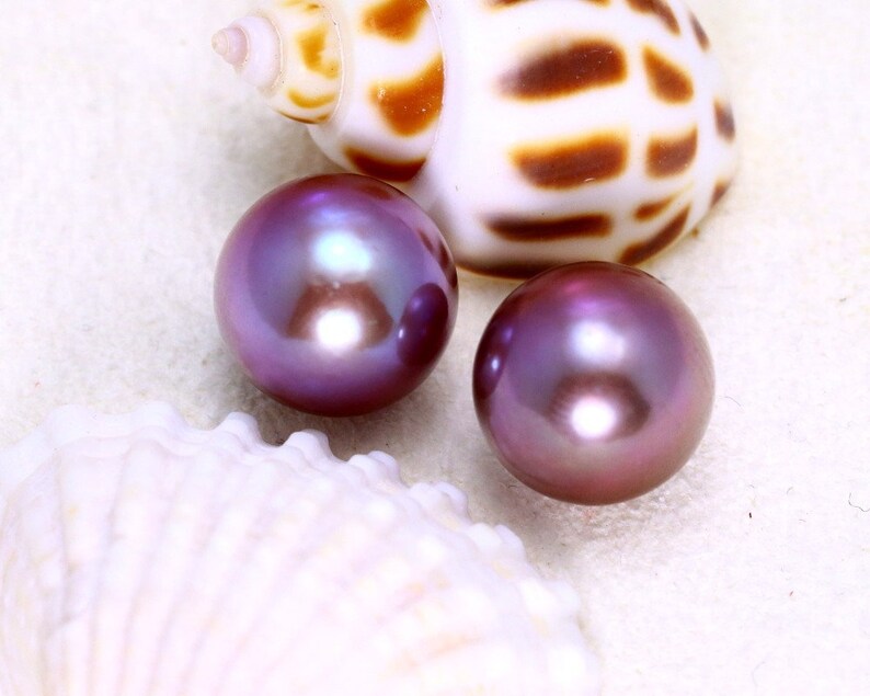 May include: Two iridescent purple pearls on a white background with a seashell.