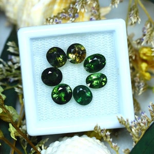 Tourmaline 5.67Ct 7Pcs Natural Green Color Tourmaline S137
