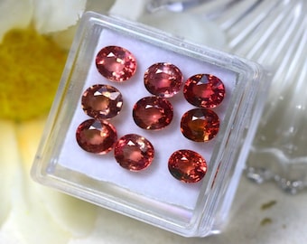 Turmalin 7.45Ct 9Stk Natur Orange Pink Farbe Turmalin S1879
