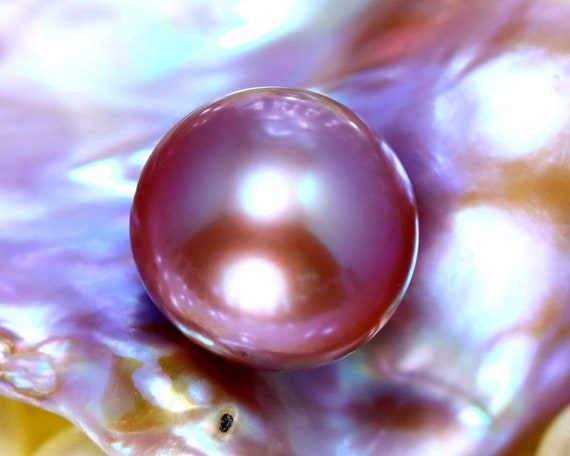 11.10mm 19.40ct 2pcs Aubergine Color Cultured Pearl S2383 - Etsy
