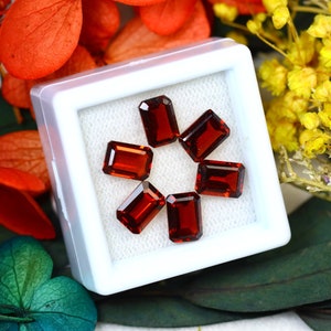 Almandine 6.91Ct 6Pcs Natural Vivid Blood Red Almandine Garnet S1351