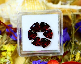 Almandine 5.17Ct 6Pcs Natural Vivid Blood Red Almandine Garnet S68
