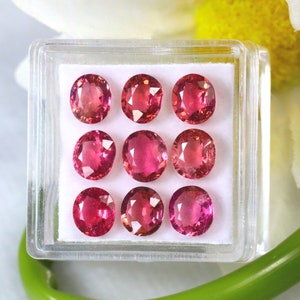 Turmalin 6.84Ct 9Stk 9Stk Natur Pink Farbe Turmalin S1363