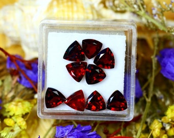 Almandine 8.00Ct 9Pcs Natural Vivid Blood Red Almandine Garnet S2004