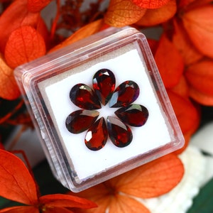 Almandine 6.47Ct 7Pcs Natural Vivid Blood Red Almandine Garnet S1330