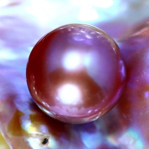 K&ouml;nnte beinhalten: Eine gro&szlig;e, irisierende, violette Perle mit einer glatten, gl&auml;nzenden Oberfl&auml;che. Die Perle liegt auf einer strukturierten, irisierenden Muschel.