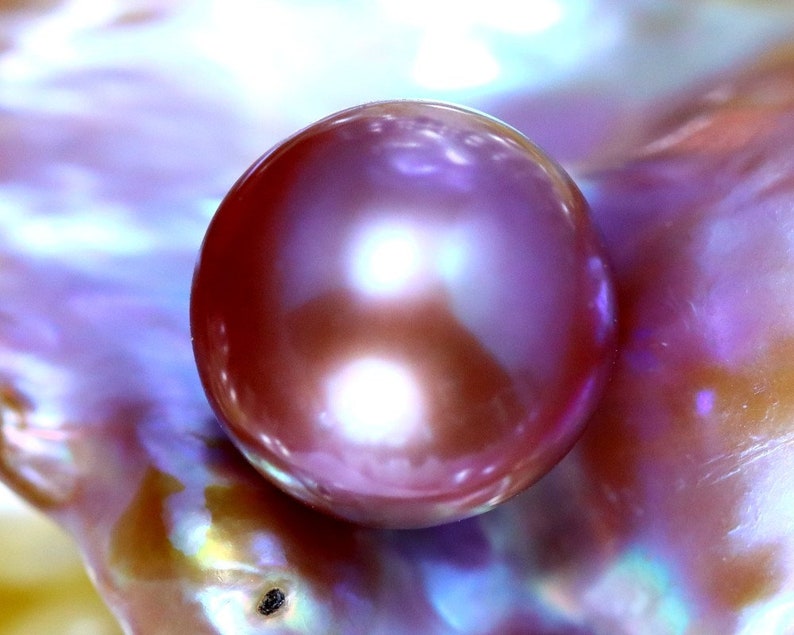 K&ouml;nnte beinhalten: Eine gro&szlig;e, irisierende, violette Perle mit einer glatten, gl&auml;nzenden Oberfl&auml;che. Die Perle liegt auf einer strukturierten, irisierenden Muschel.