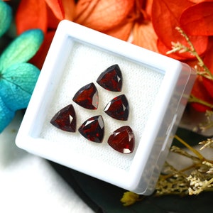 Almandine 5.46Ct 6Pcs Natural Vivid Blood Red Almandine Garnet S930
