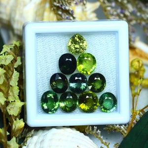 Tourmaline 8.50Ct 10Pcs Natural Green Color Tourmaline S138