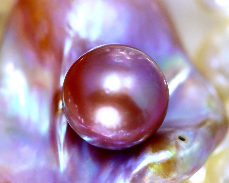 K&ouml;nnte beinhalten: Eine gro&szlig;e, schillernde, violette Perle, die auf einer strukturierten, schillernden Muschel liegt.