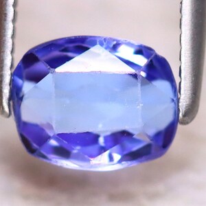 1.04Ct Natural Purplish Blue Tanzanite S1140