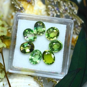 Tourmaline 6.41Ct 7Pcs Natural Green Color Tourmaline S139