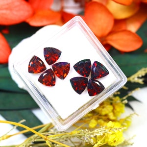 Almandine 6.45Ct 8Pcs Natural Vivid Blood Red Almandine Garnet S1376