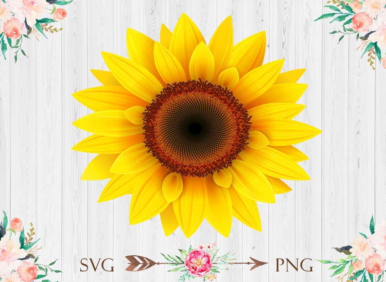 Download Download Background Free Free Sunflower Svg Images for ...