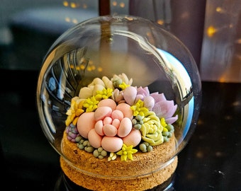 Snow Globe Clay Succulent Arrangement