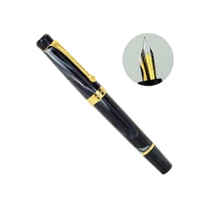 Kanwrite piston filler fountain pen with dulatone full flex gold plated nib