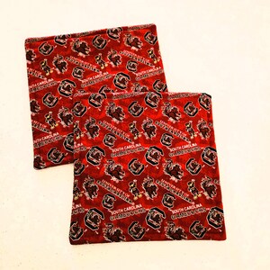 South Carolina Gamecocks potholders, set of 2