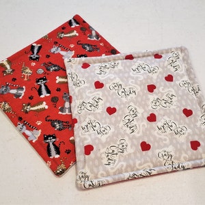 Crazy Cat Lady potholder set of 2