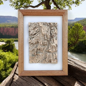 Mapa topográfico de contorno del Parque Nacional Zion enmarcado en madera