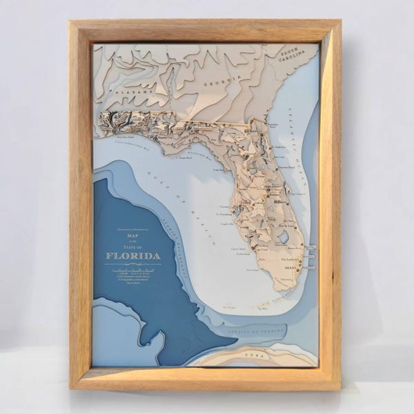 Topographic Map 3d Florida Etsy - Il 600x600.6276746137 Njh4 