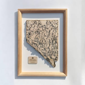 Carte du Nevada aux contours sculptés, art de la carte du terrain de chasse en 3D