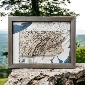 Pennsylvania spezielle 3D Zustand geschnitzte Karte gerahmt Innenarchitektur
