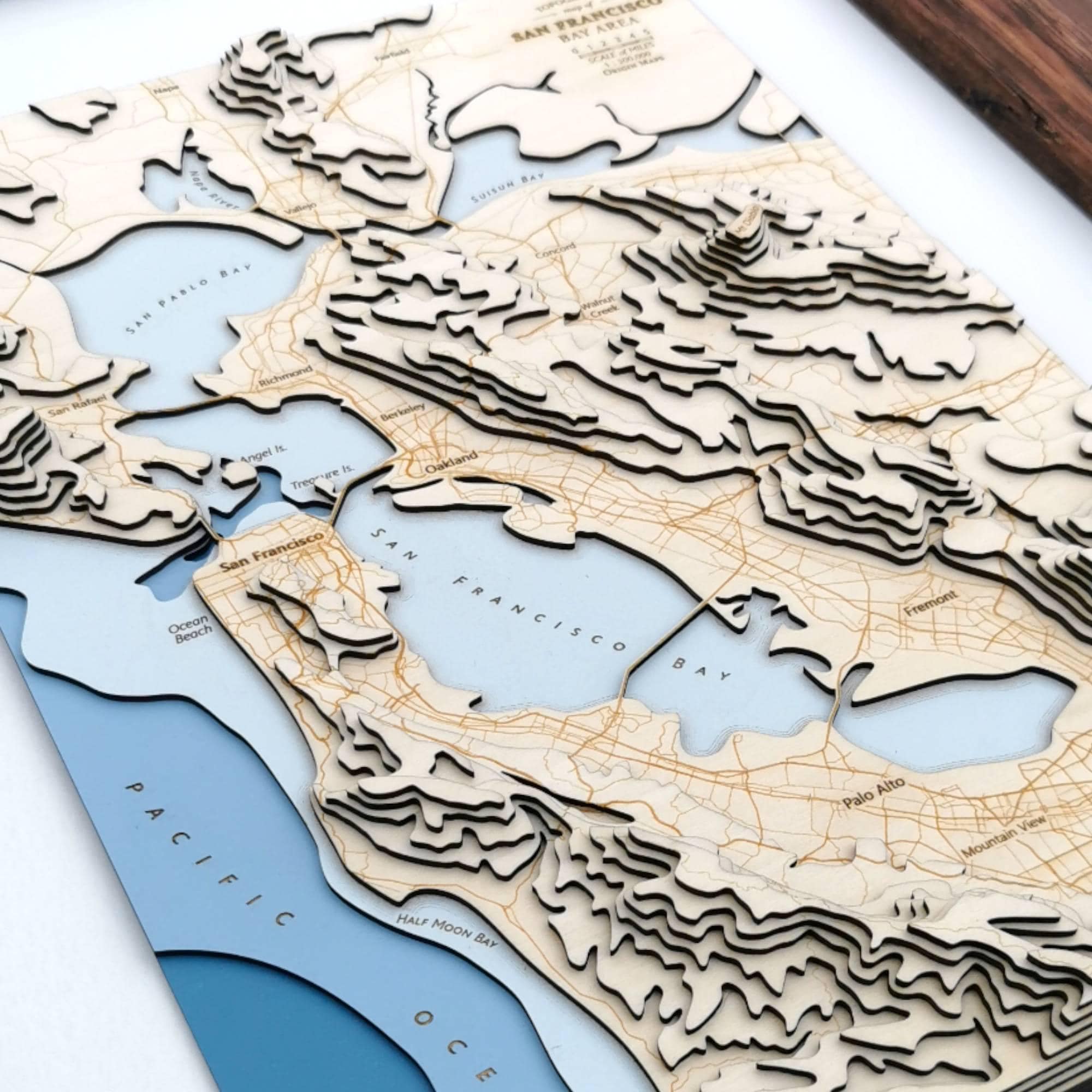 San Francisco Bay Area Wooden Topographic Contour Map Art Framed Gift