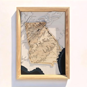 Georgia 3D geschnitzte hölzerne topographische Zustandskarte Kunst umrahmt USA