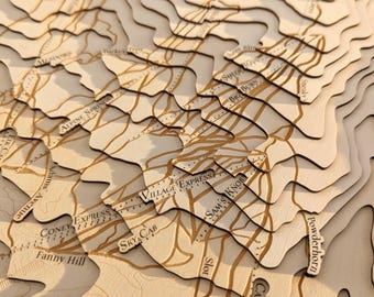 Snowmass Aspen Ski Map Colorado Topographic Framed Map Gift